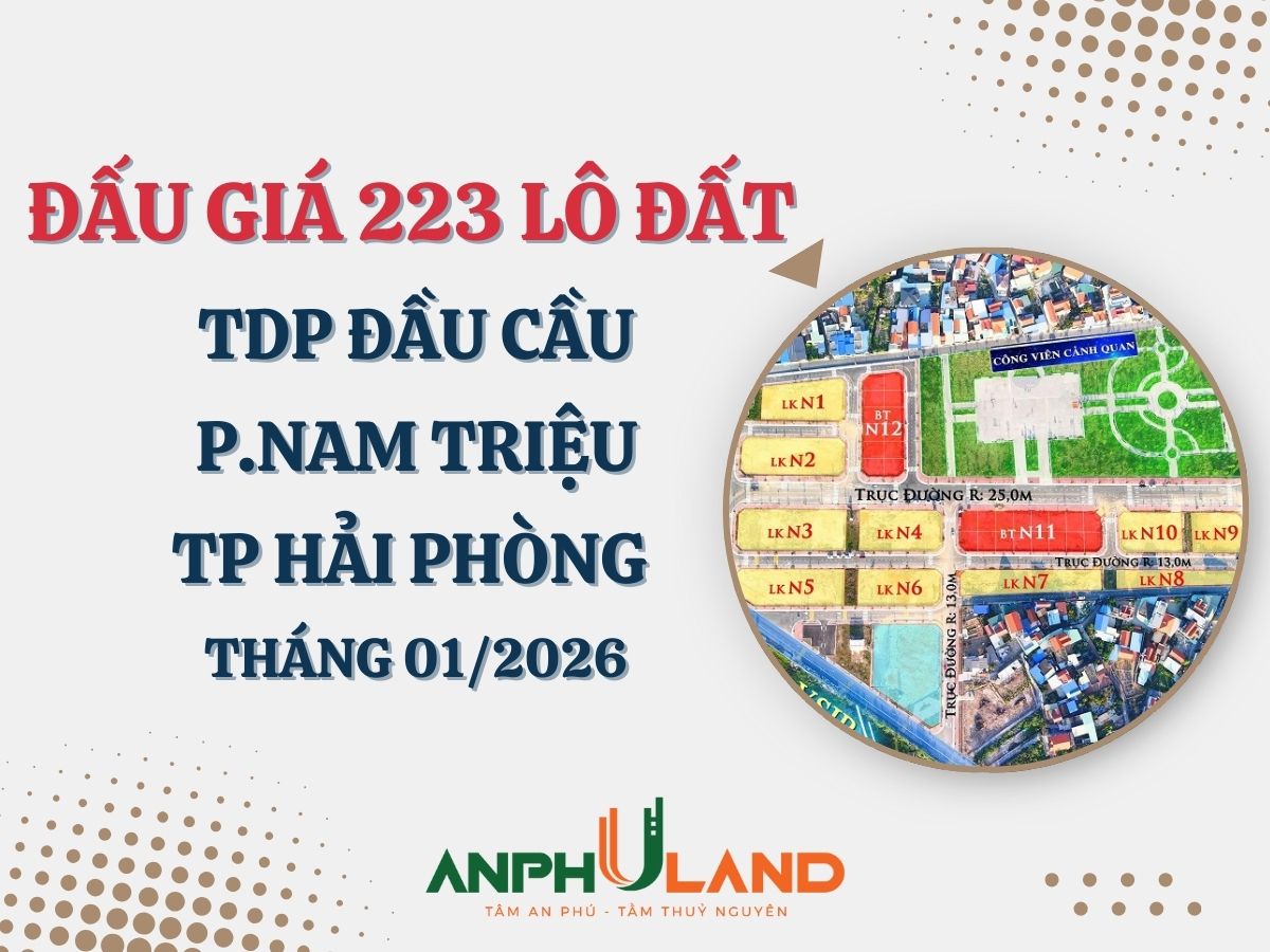 Thông báo đấu giá 223 lô đất vào mục đích làm nhà ở tại Tổ dân phố Đầu Cầu, phường Nam Triệu, thành phố Hải Phòng tháng 1 năm 2026
